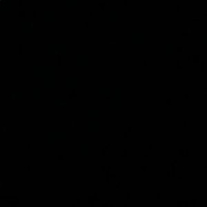 Meet your Posher, Terrell